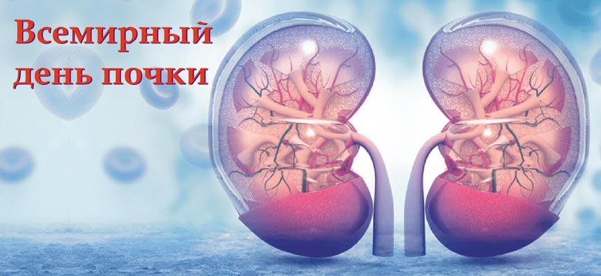 2 a9643489 d9e5 4adb ad88 5922125f57c4 copy