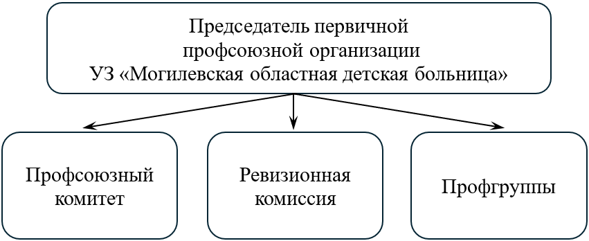 Struktura copy