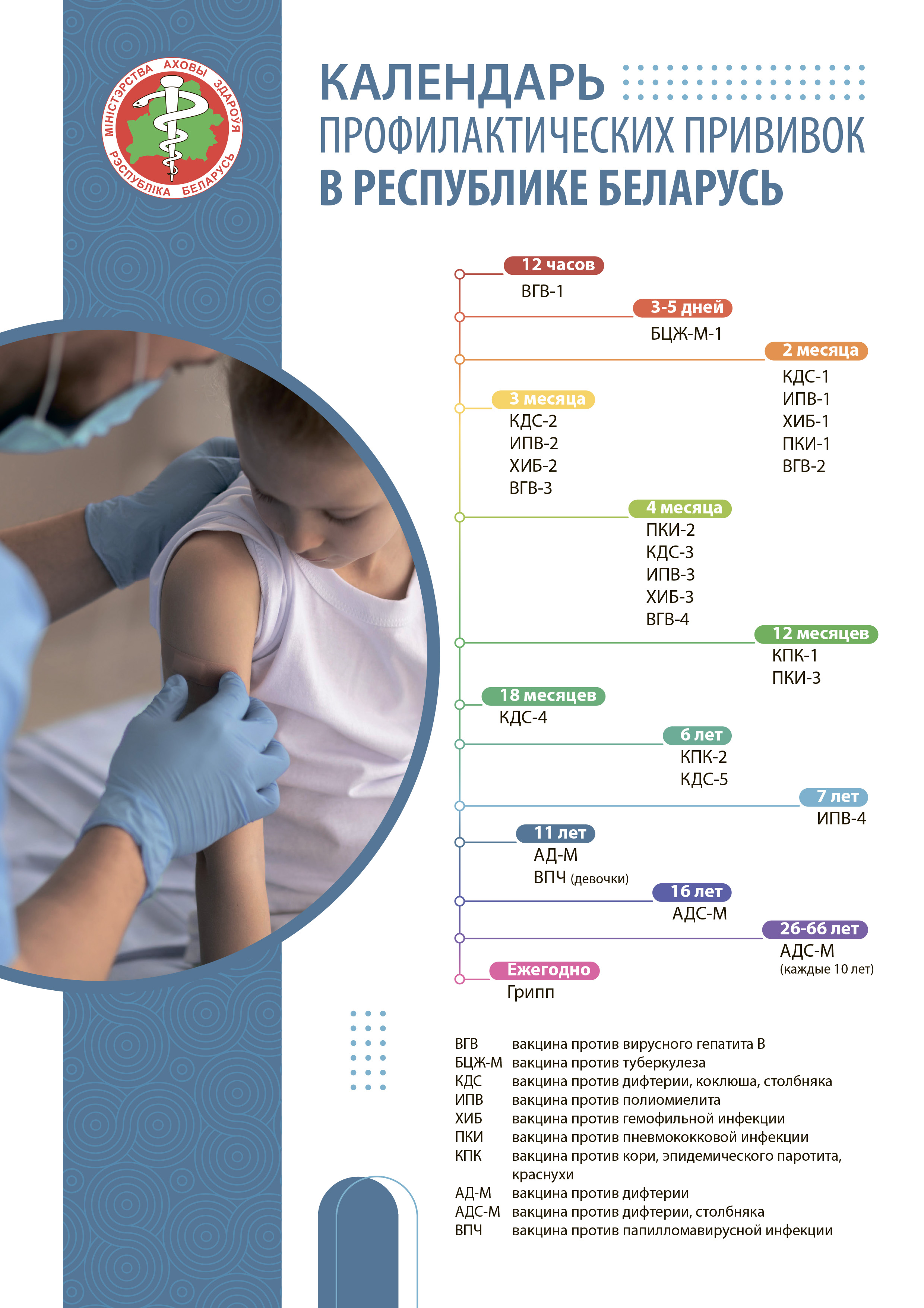 Календарь прививок 2024 НА САЙТ